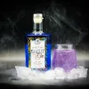 frukta des Salut Gin Mystic Blue Elixir