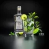 frukta des Salut Gin Mojito